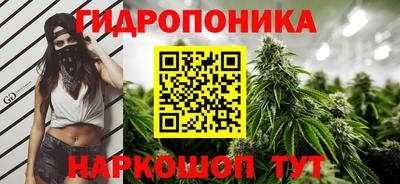 СК Пугачёв