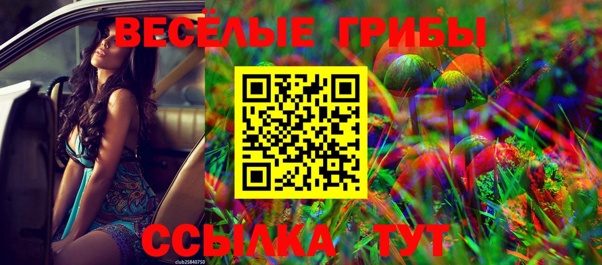 что такое наркотик  Псилоцибиновые грибы мухоморы  Вход с VPN  Подольск  Галлюциногенные грибы Psilocybe 